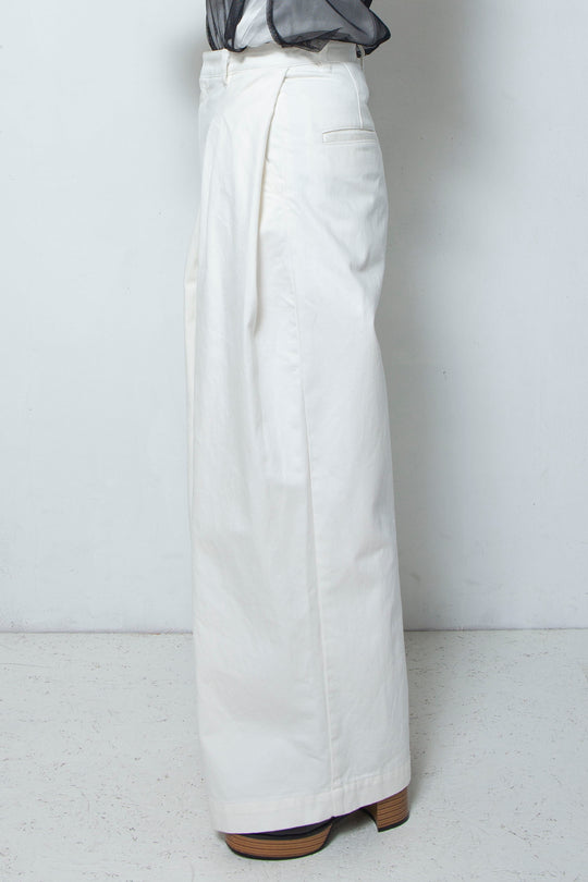 2 tuck wide pants