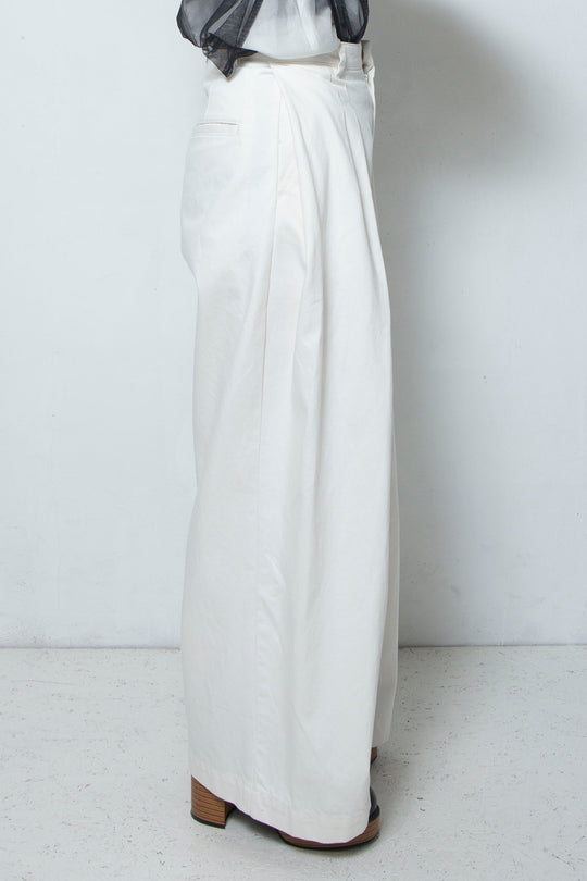 2 tuck wide pants