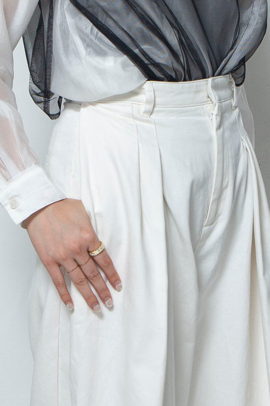 2 tuck wide pants