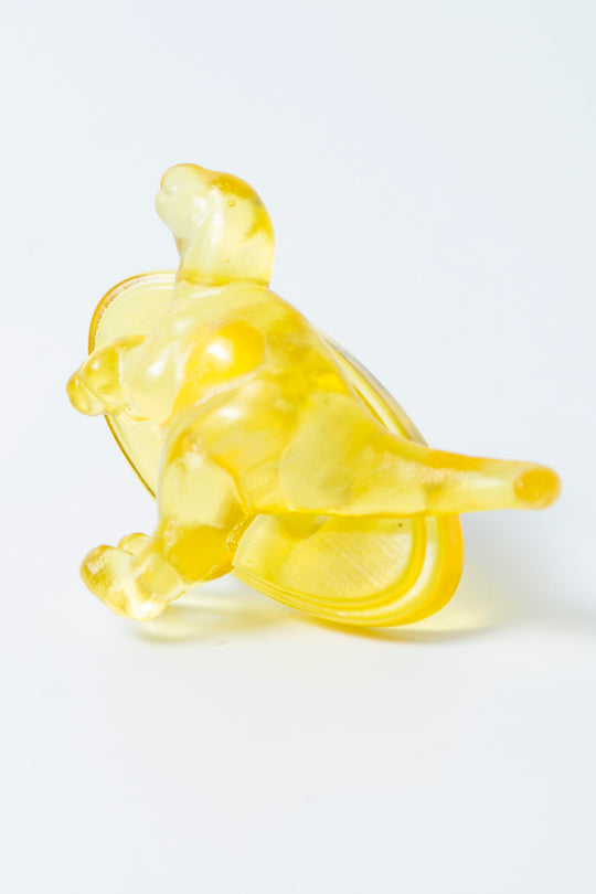 Tyrannosaurus ring ( S )
