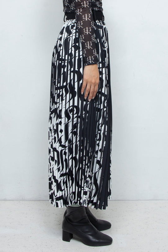 Two-Face Accordion Pleats Skirt BI