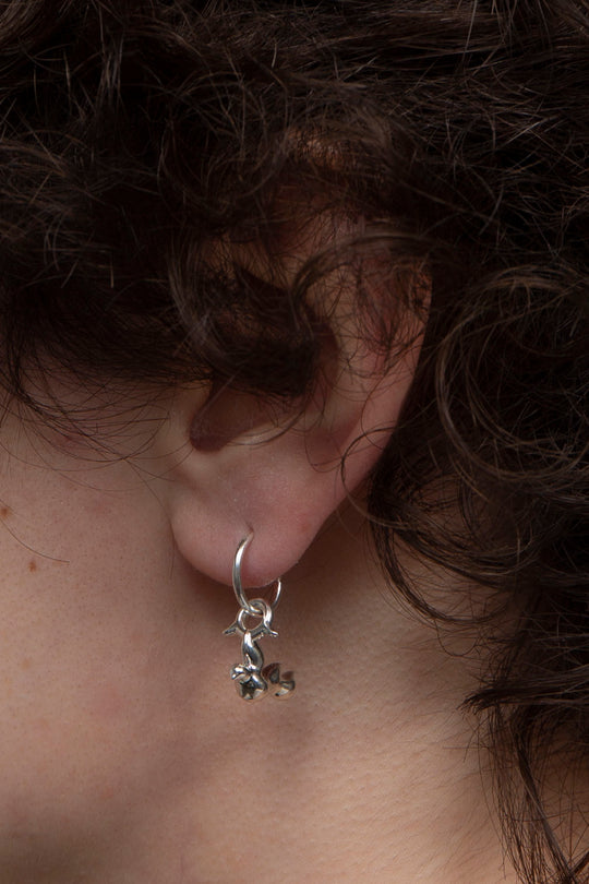 Fire Bird Pierce