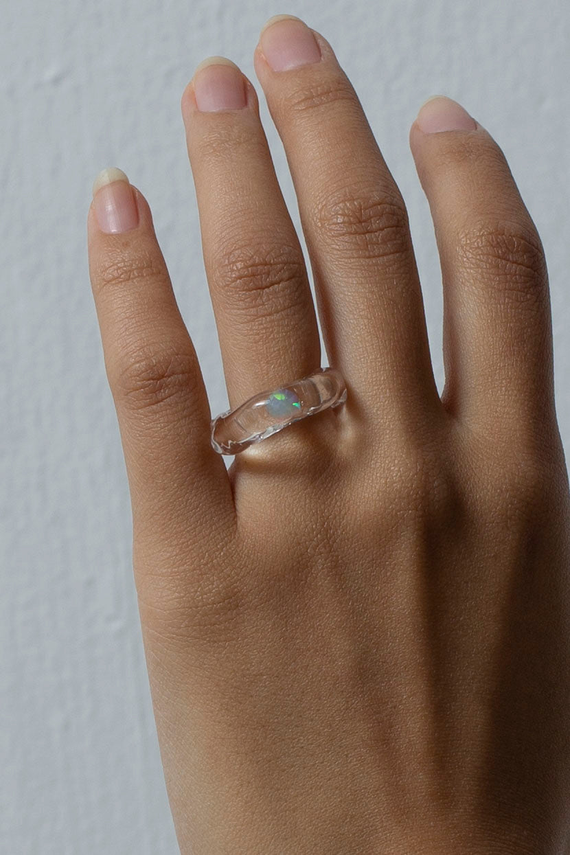 Fleck ring circle