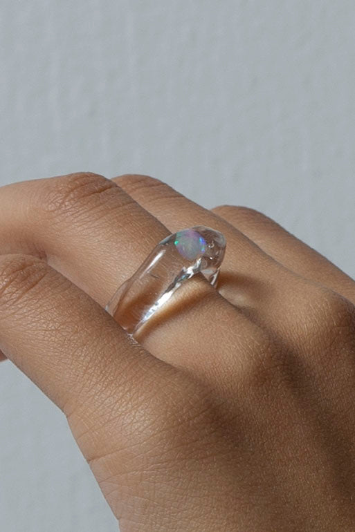 Fleck ring circle