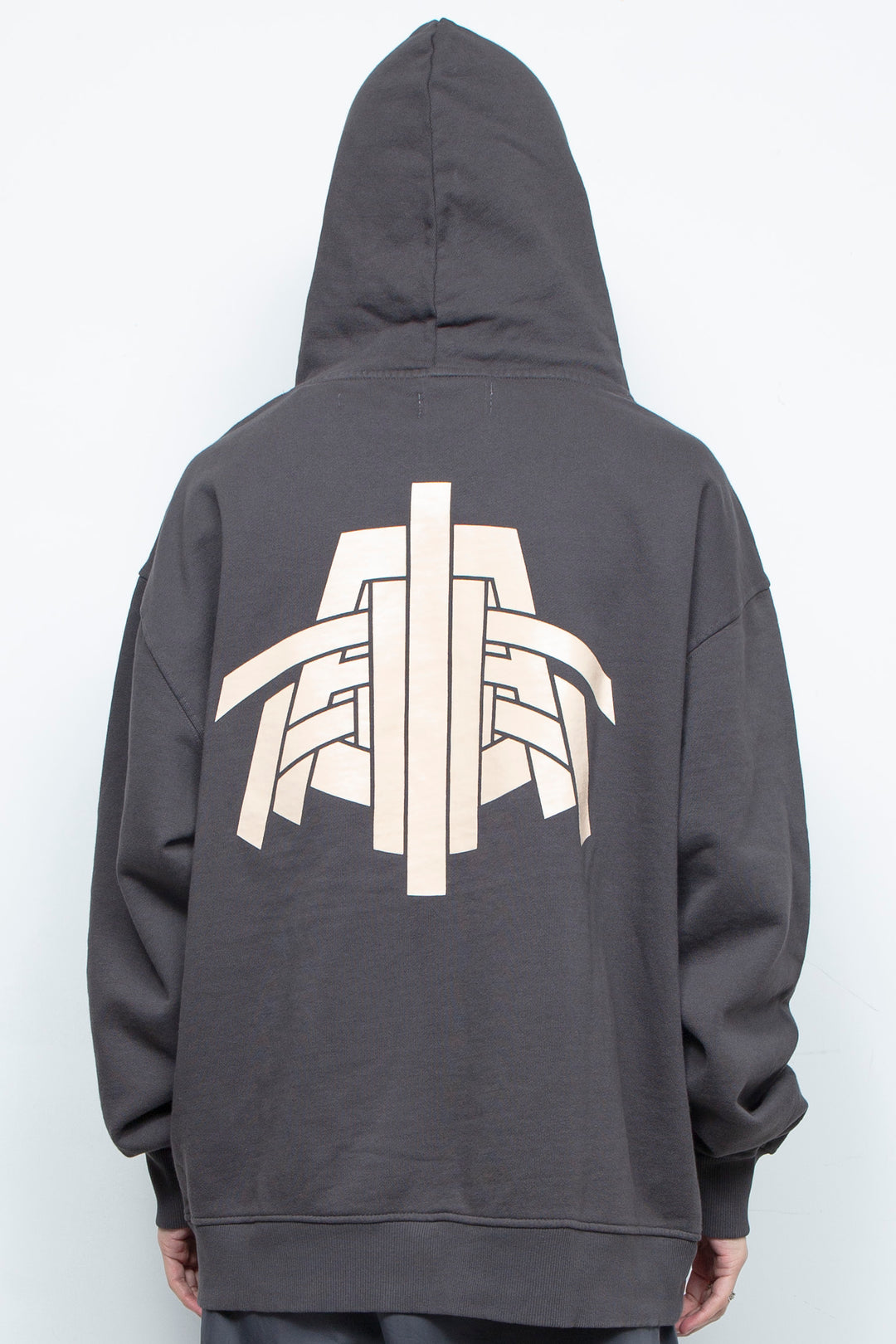 DTR BACK GRAPHIC HOODIE GRAY