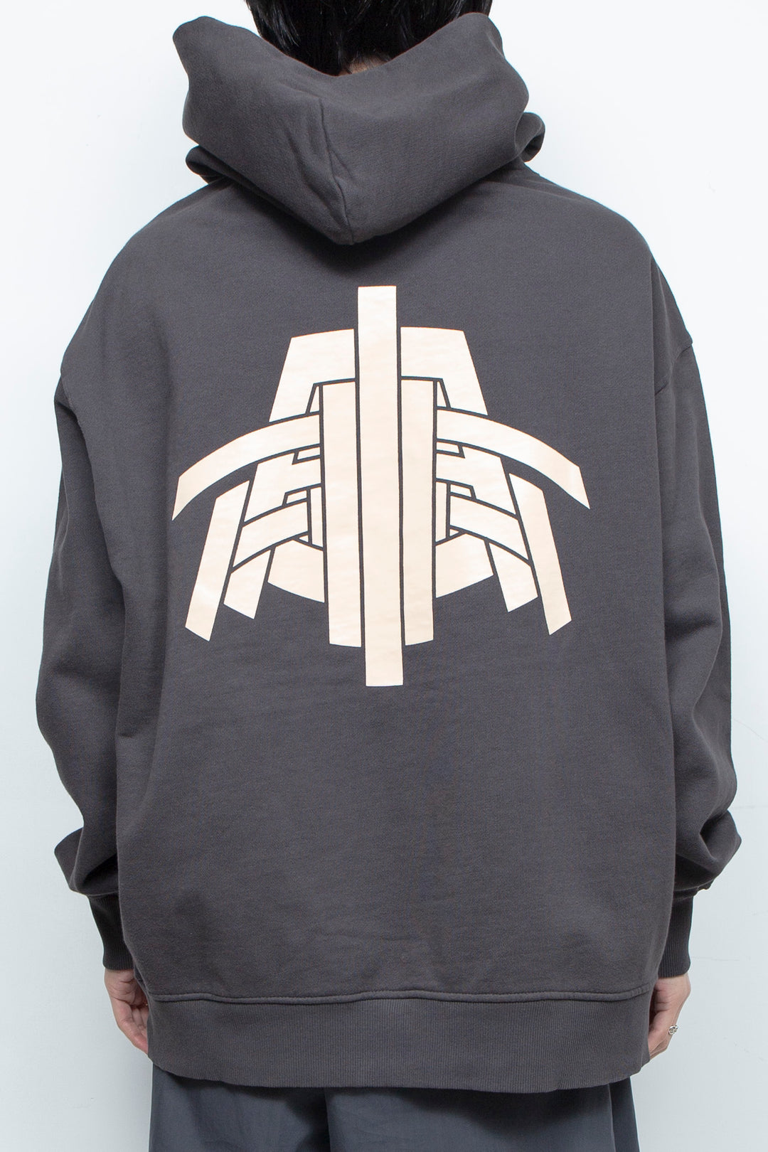 DTR BACK GRAPHIC HOODIE GRAY