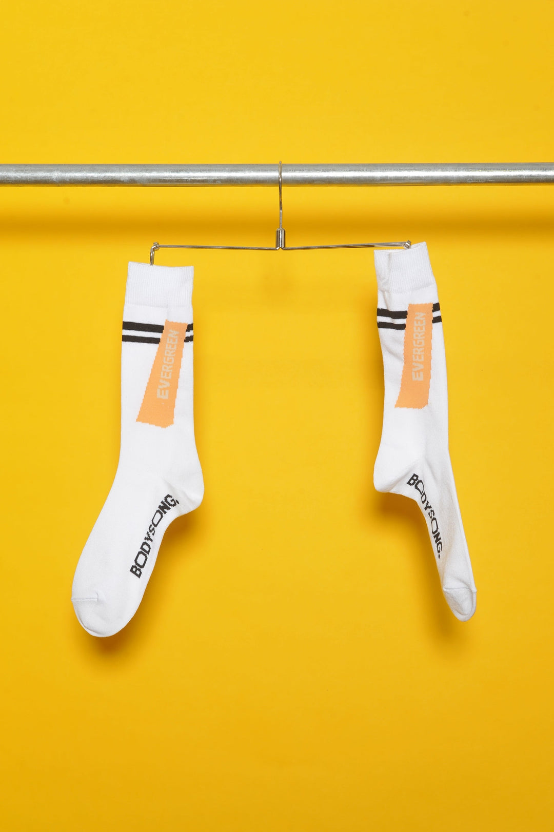 SOCKS! Evergreen