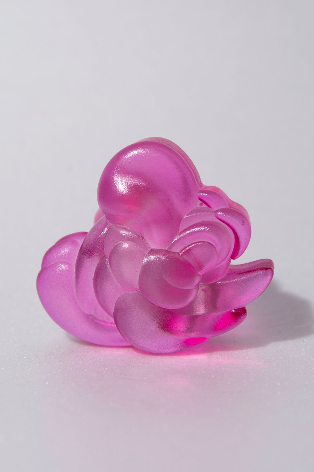 parrot ring ( M )