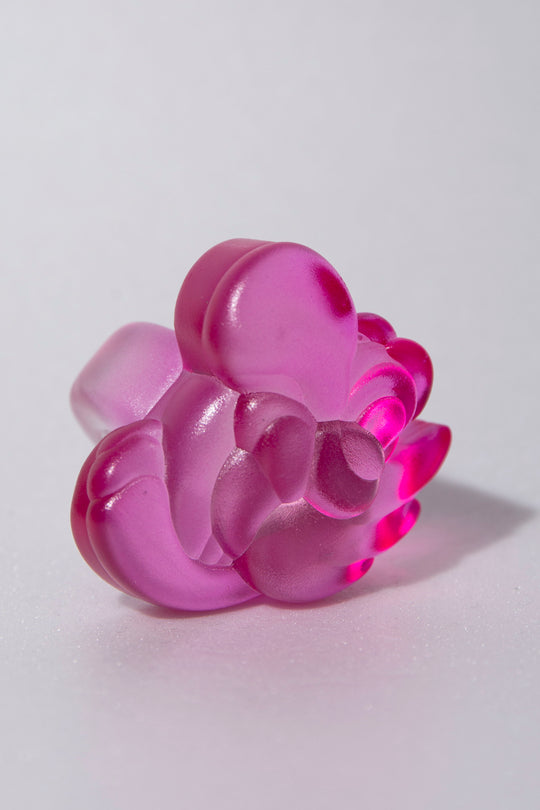 parrot ring ( M )