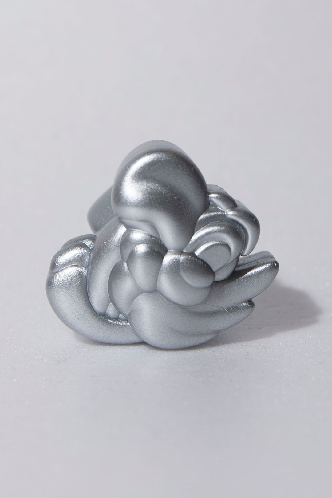 parrot ring ( S )