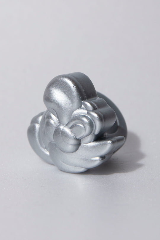 parrot ring ( S )