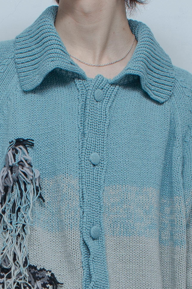 Intarsia knit shirt cardigan DIOPTASE