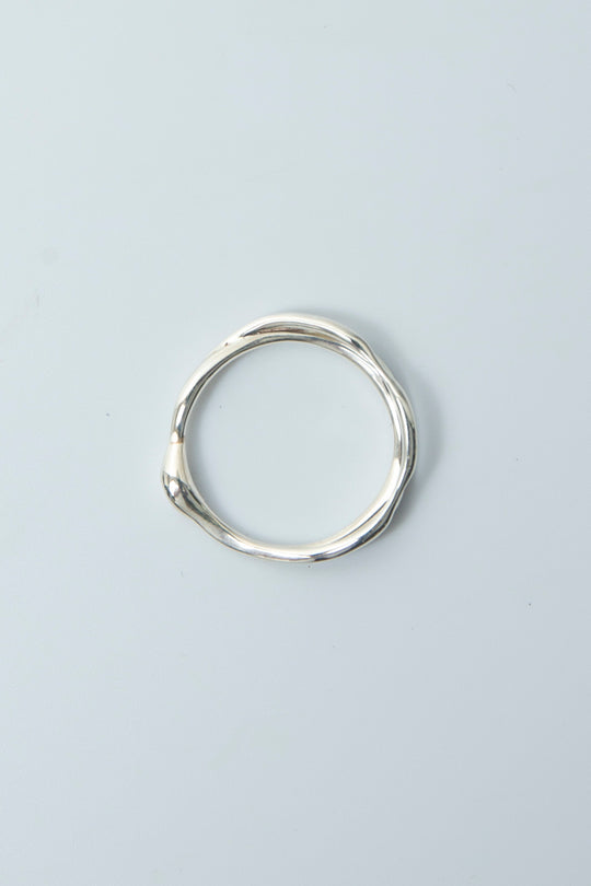 Hylo.016 [R] _Dividing Light