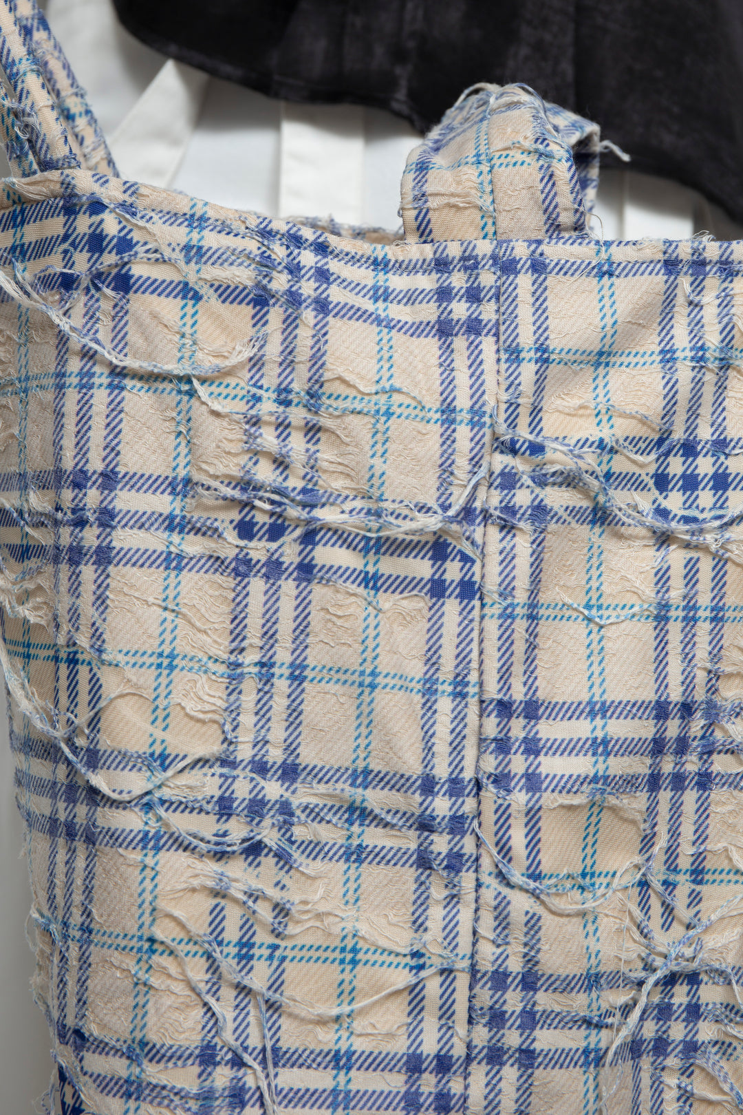 2Way Canvas Bag Blue Check