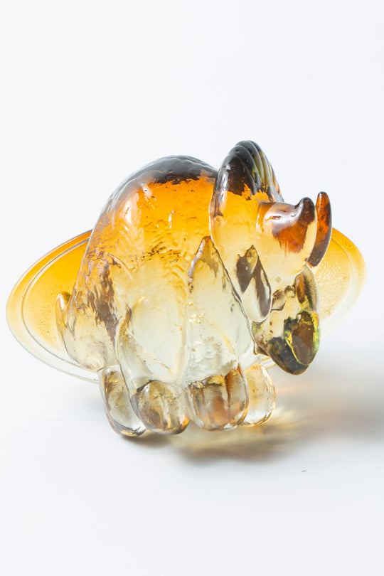 Triceratops ring clear × brown 20