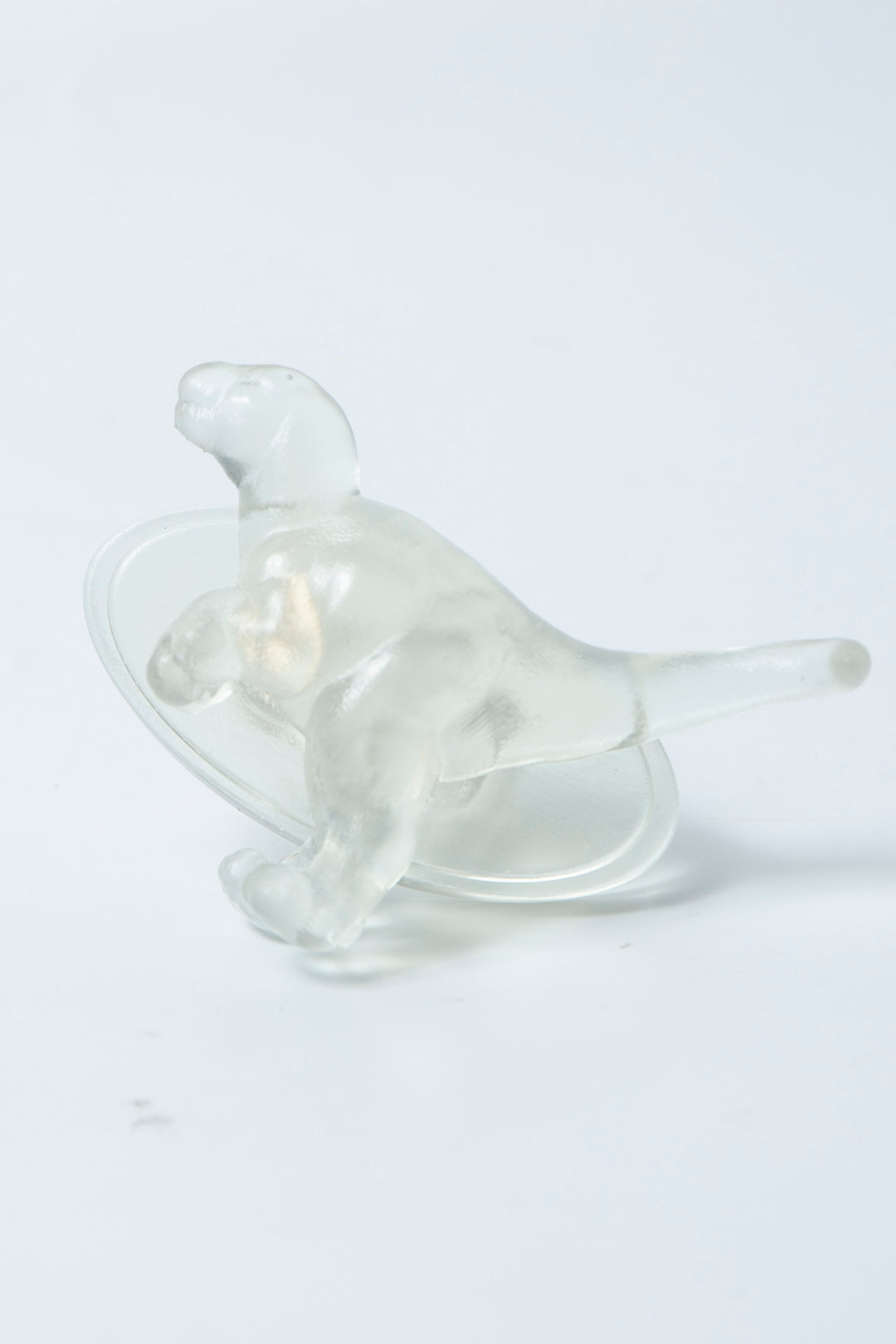 Tyrannosaurus ring ( L )
