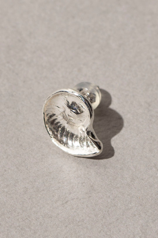 Ammonite / Pierce