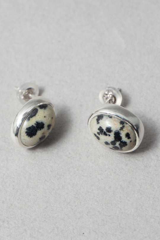 Dalmatian / Pierce