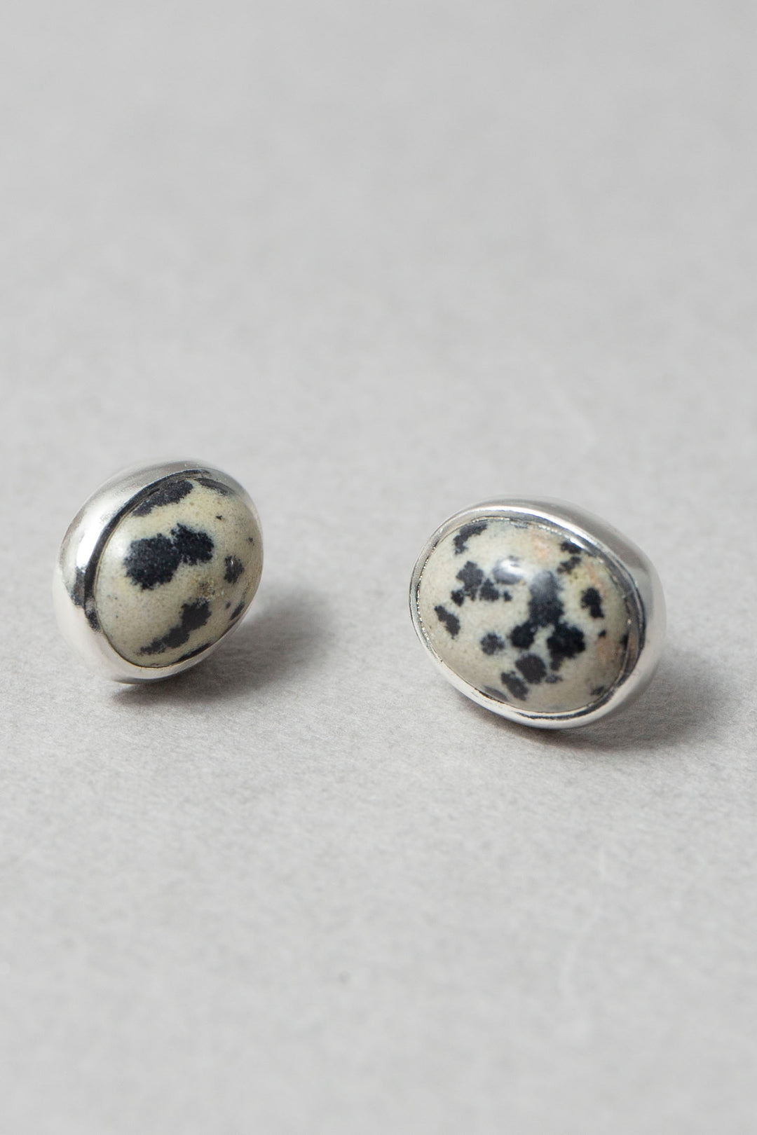 Dalmatian / Pierce