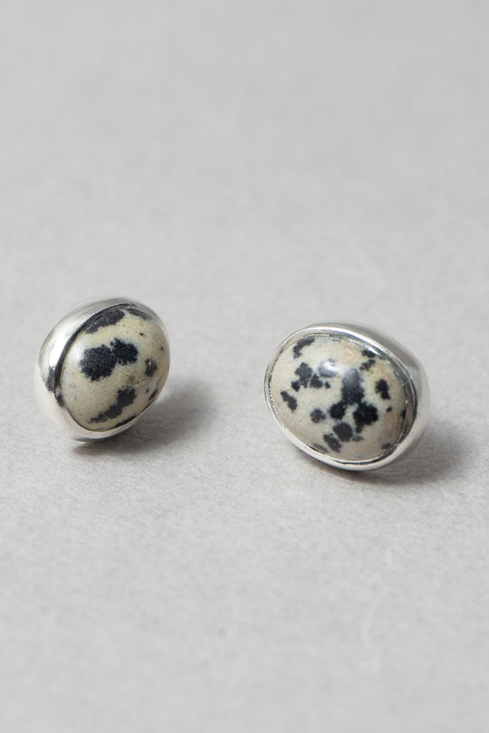 Dalmatian / Pierce