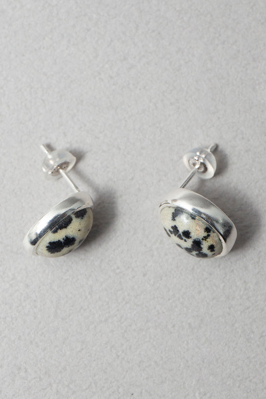 Dalmatian / Pierce