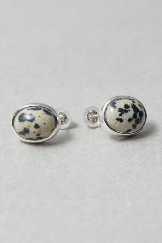 Dalmatian / Pierce