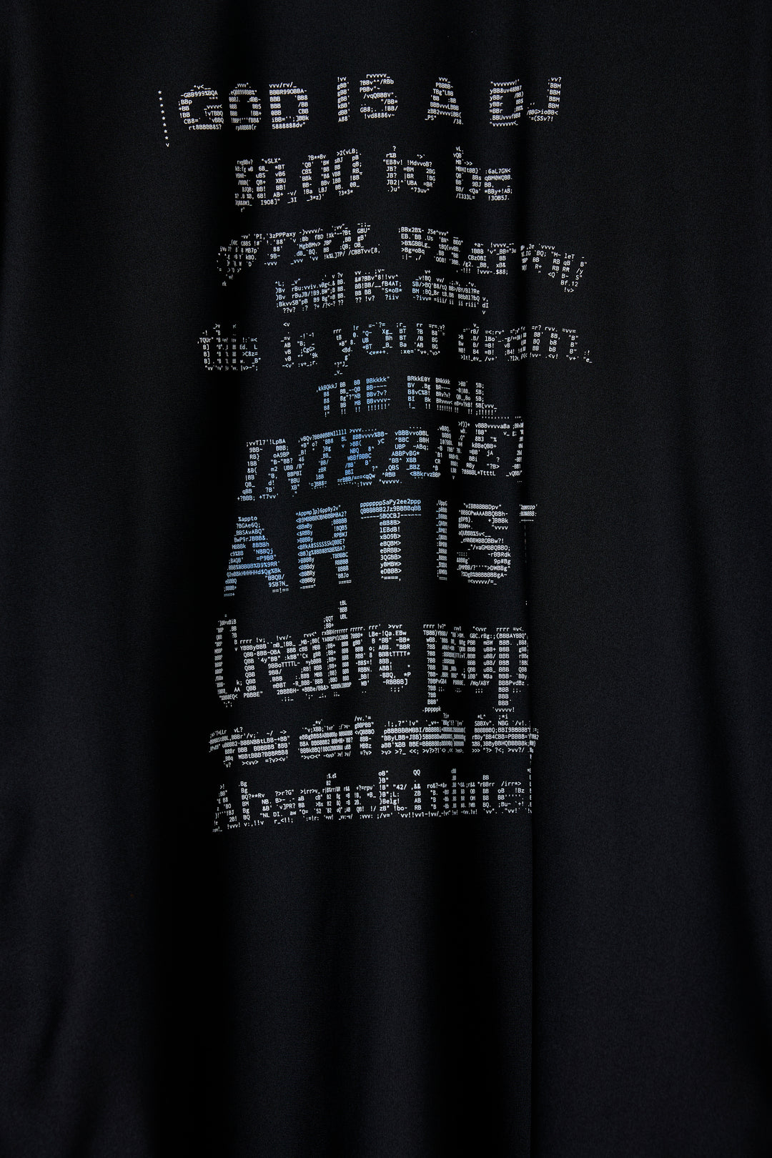 先行予約 TEE/PHOTOCHROMIC/ASCII ART