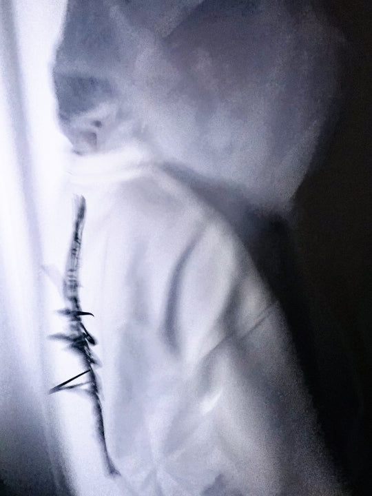 SPINE LONG TEE MATERIAL TYPE:B (WH×BK)