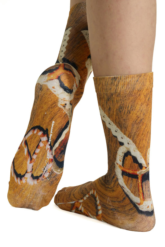 AR×SamePaper Graphic Socks Mocha