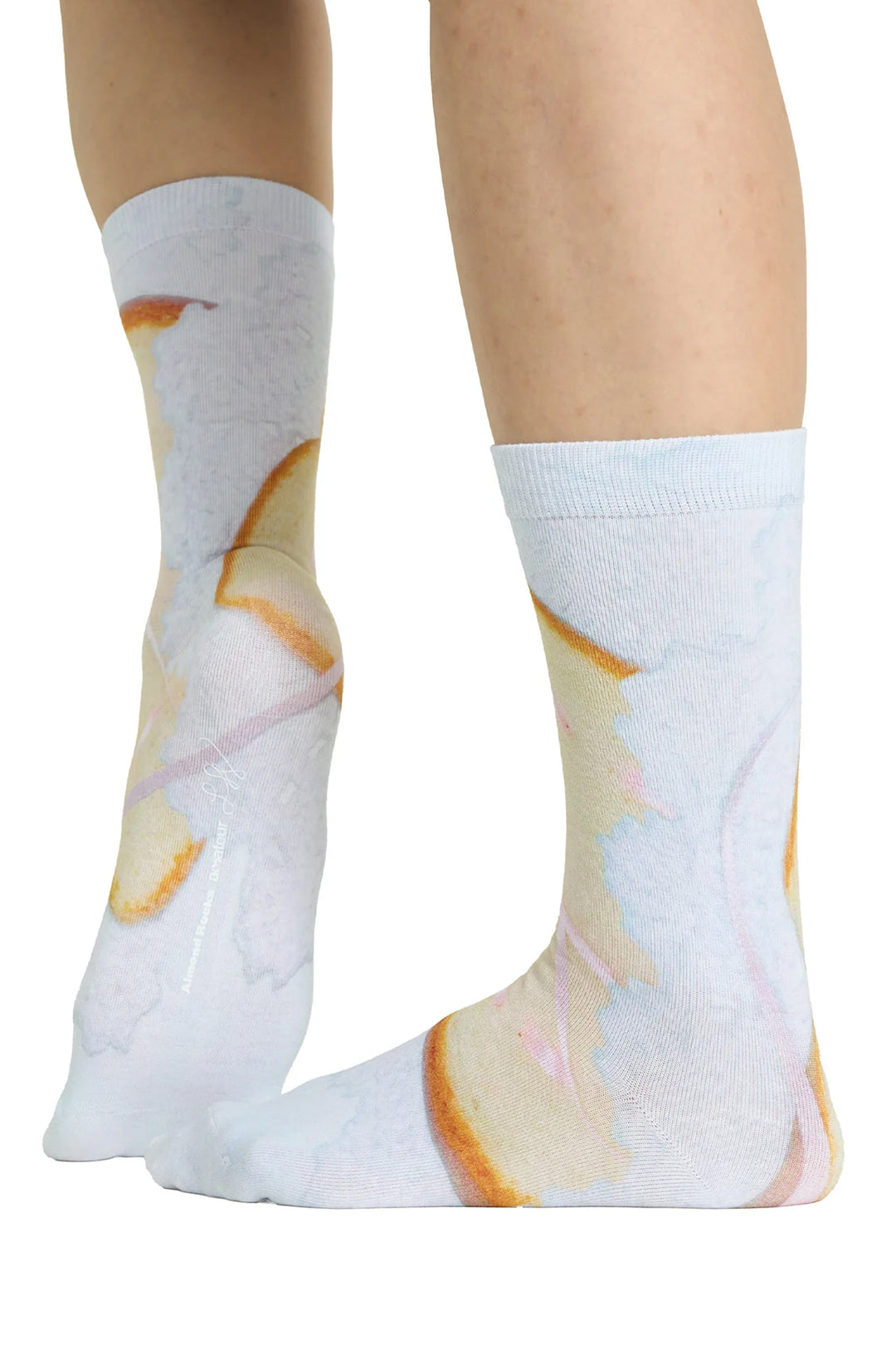 AR×SamePaper Graphic Socks White