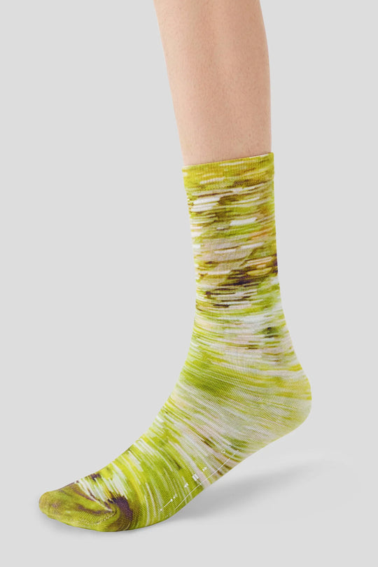 AR×Han Gao Green House Socks Box