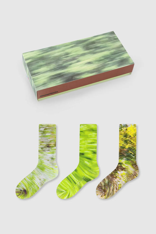 AR×Han Gao Green House Socks Box
