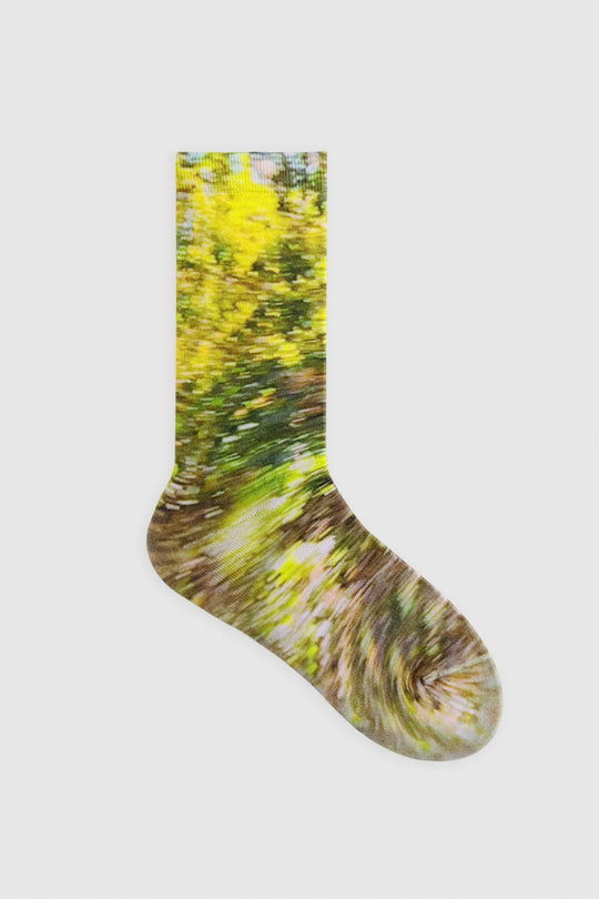AR×Han Gao Green House Socks Box