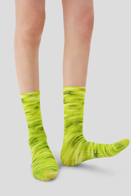 AR×Han Gao Green House Socks Box