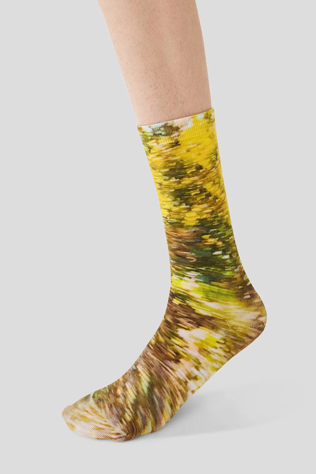 AR×Han Gao Green House Socks Box