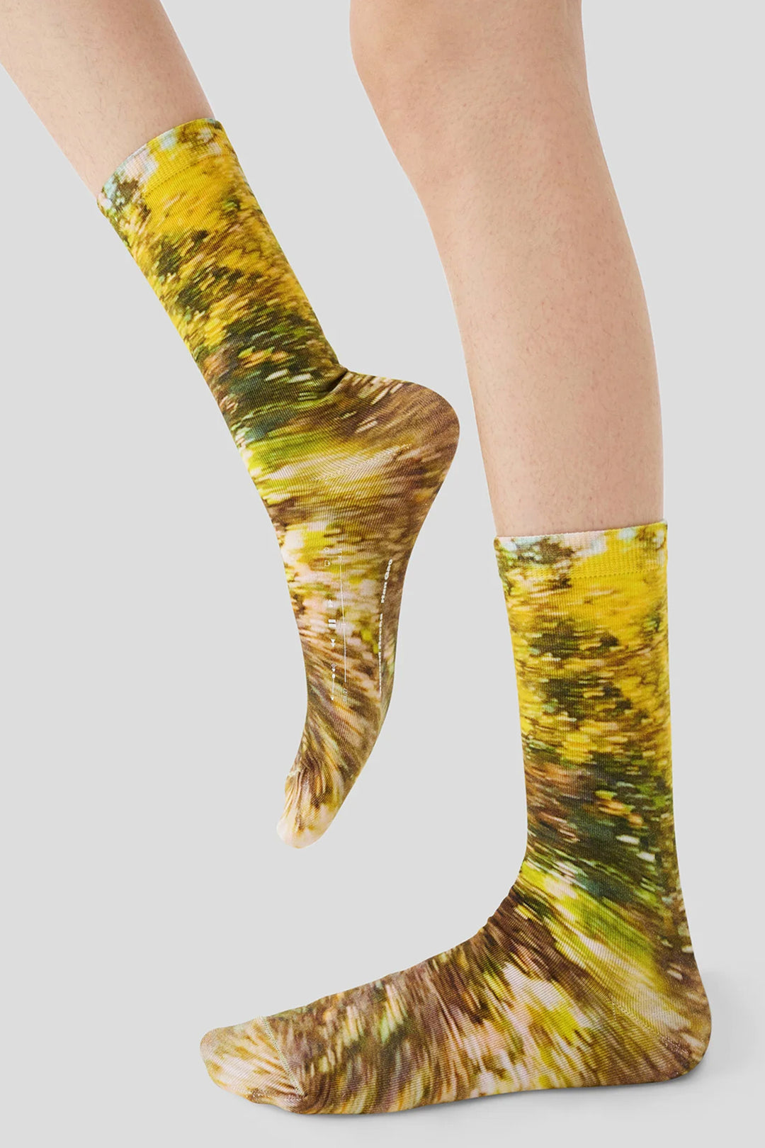 AR×Han Gao Green House Socks Box