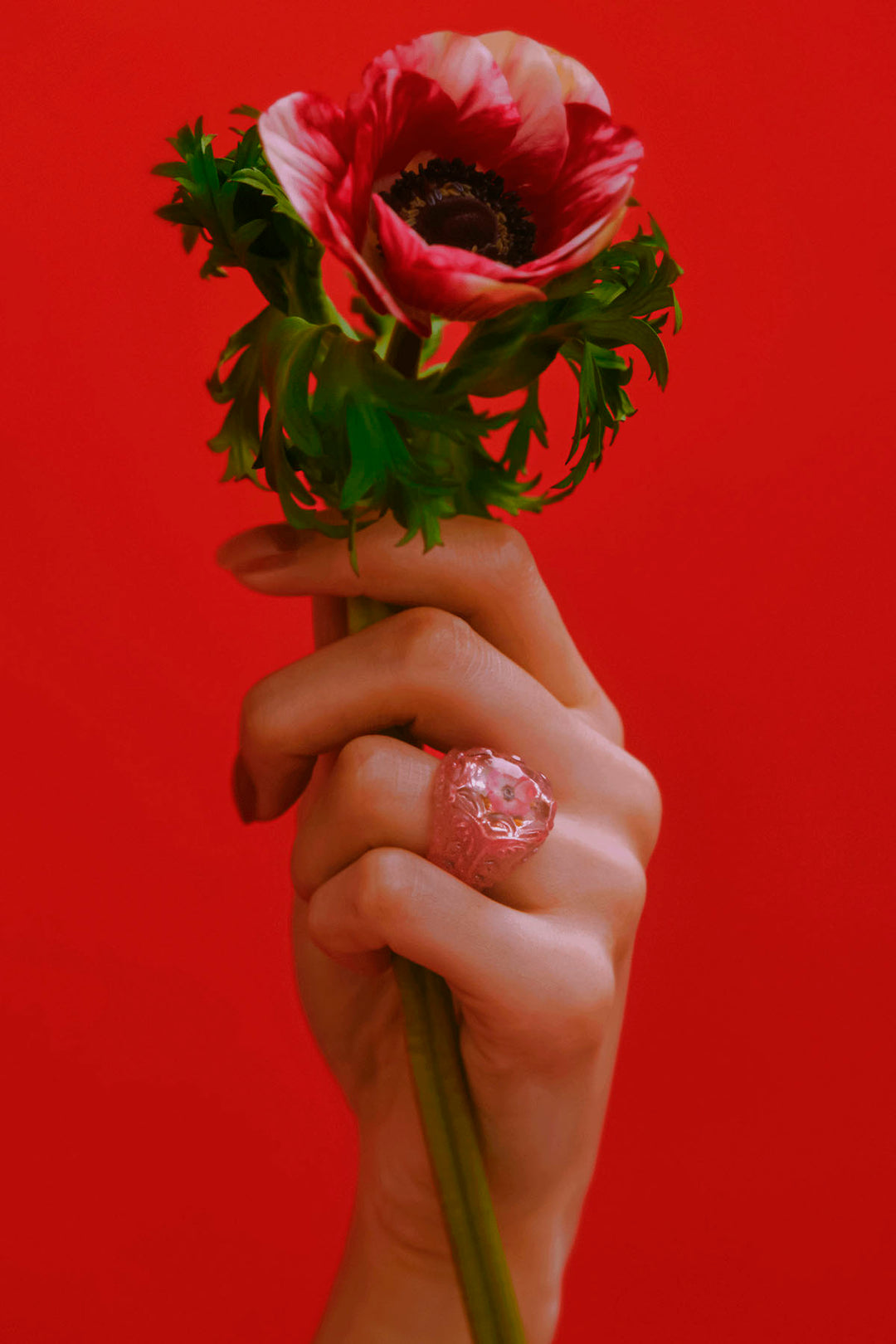 Anemone frame ring