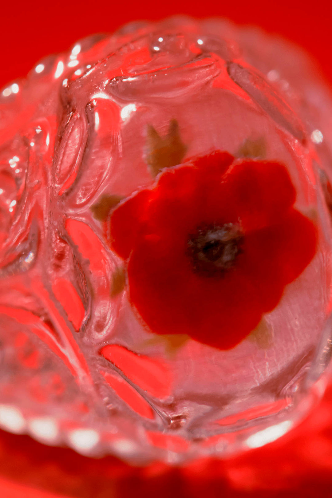 Anemone frame ring