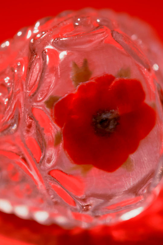 Anemone frame ring