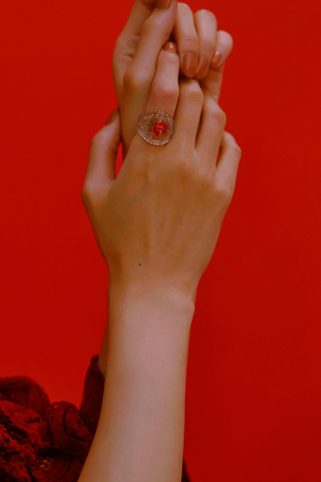 Anemone frame ring